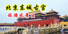 美女操逼对白中国北京-东城古宫旅游风景区